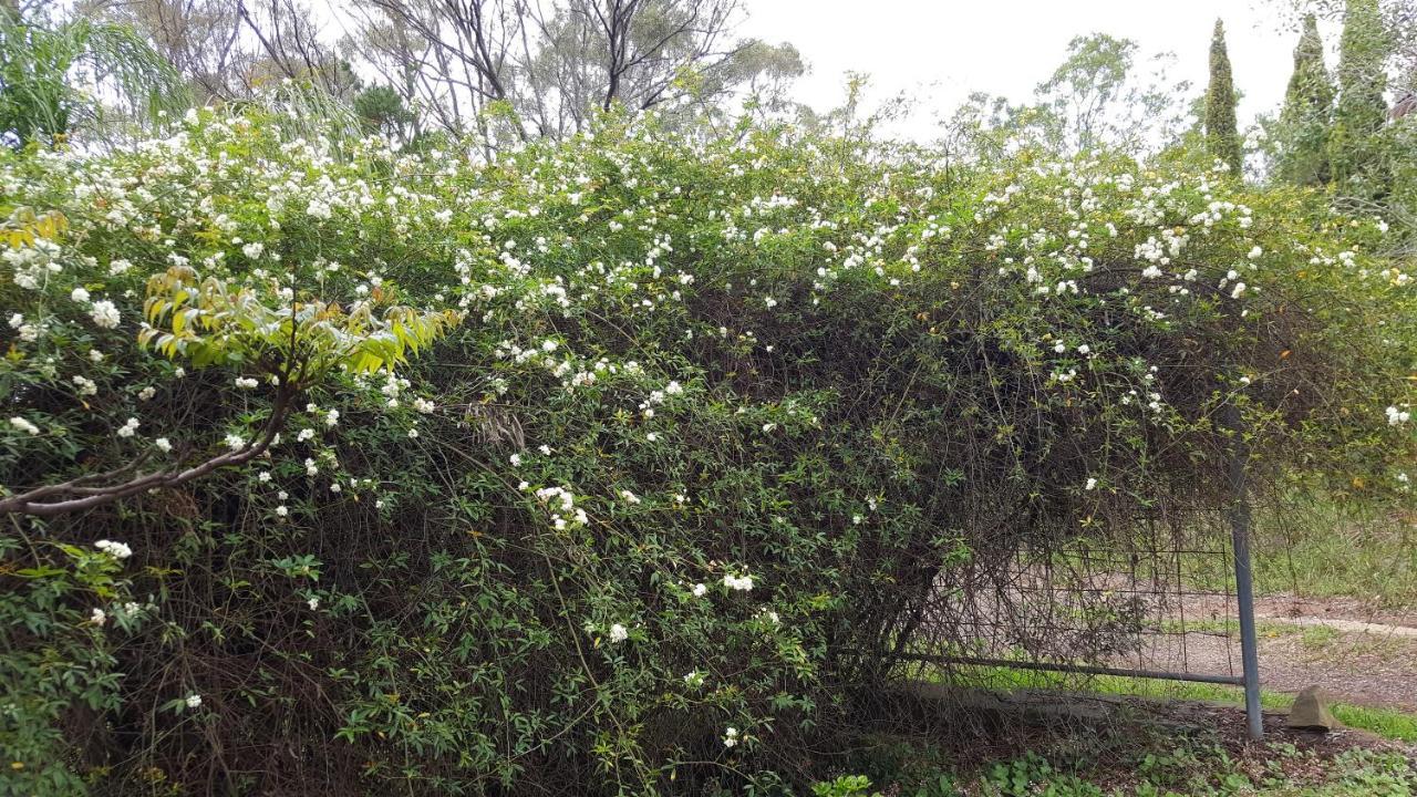 辛格尔顿Gowrie Agapanthus公寓 外观 照片